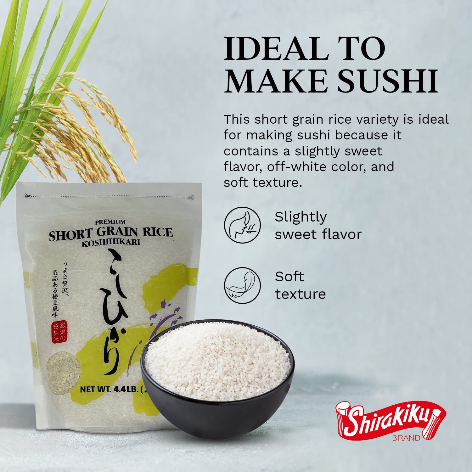 Shirakiku Japanese Short Grain White Koshihikari Rice 4.4 lb Premium Sushi Grade