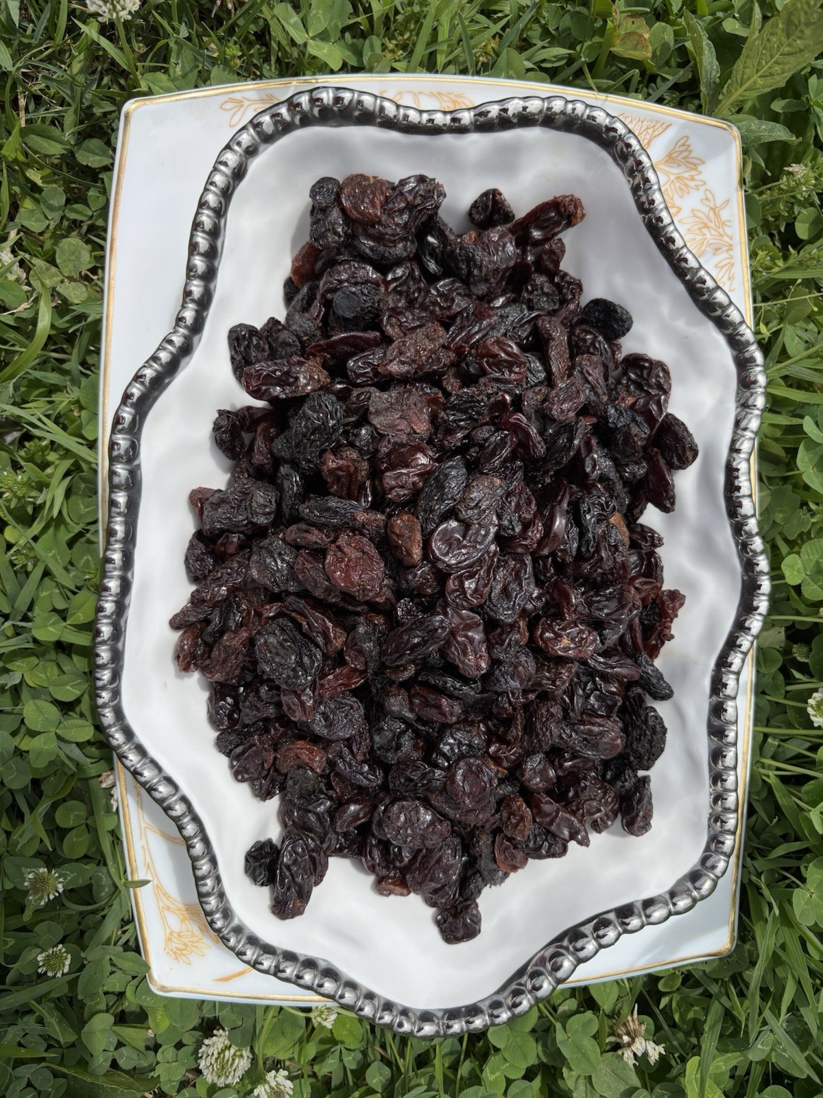 Jumbo Black Raisins Fresh Resealable Bag 11oz. to 40 lbs.by AgroSunQuality