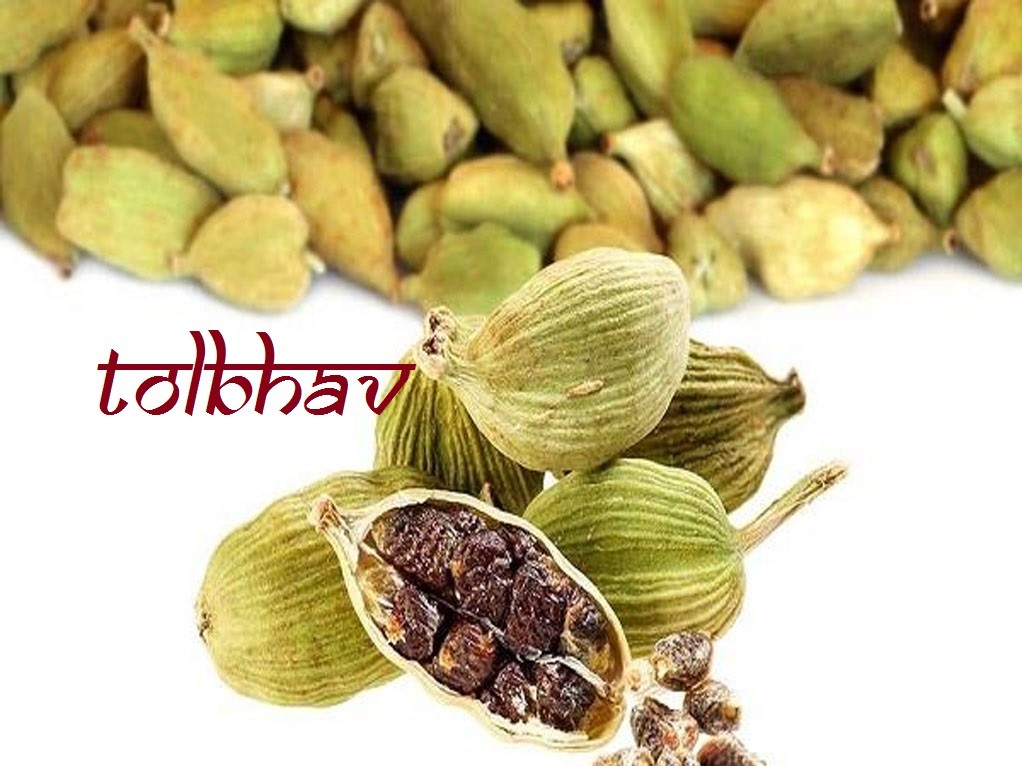 100% Natural Pure Premium and Best Quality Spice Green Cardamom Pod From India