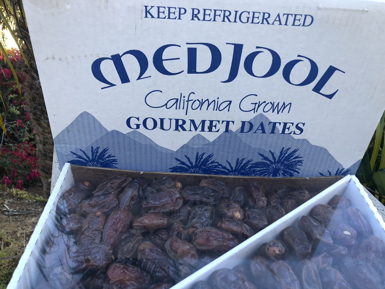 11 LB MEDJOOL FIRM SKIN DATES.. FAST SHIPPING. FRESH CALIFORNIA DATES