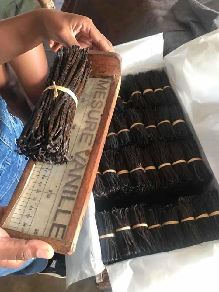 Madagascar Extract Grade B Bourbon Vanilla Beans 5-6 inches NEW 2022 HARVEST!