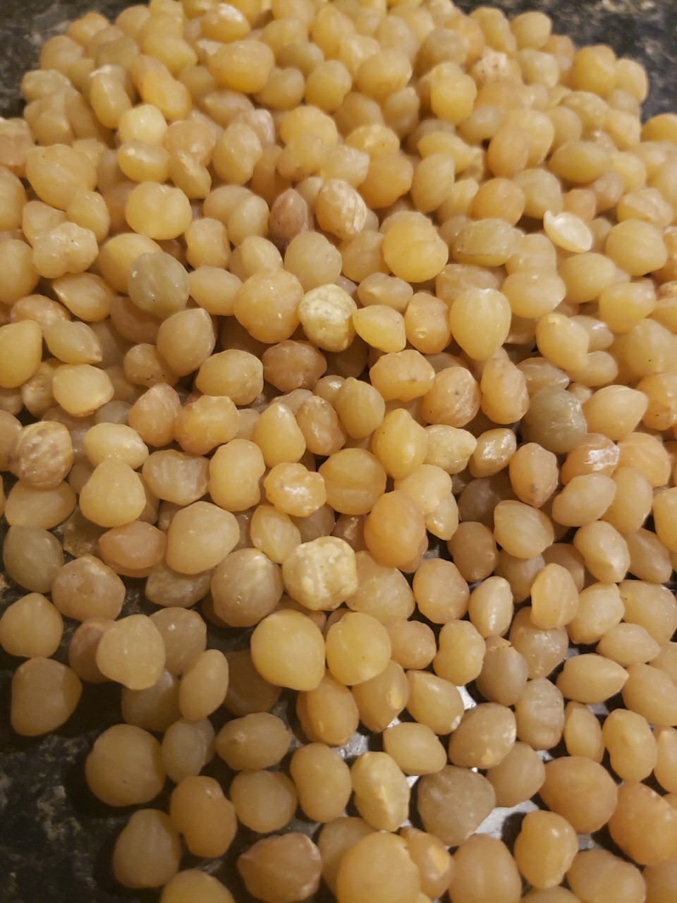 African Fresh Akpi Seed Djansang 6 OZ to 1Lb