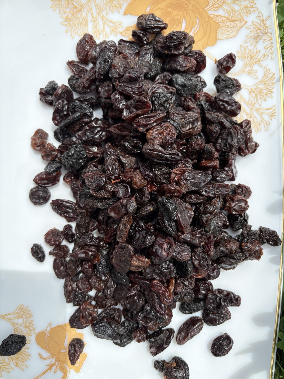 Jumbo Black Raisins Fresh Resealable Bag 11oz. to 40 lbs.by AgroSunQuality
