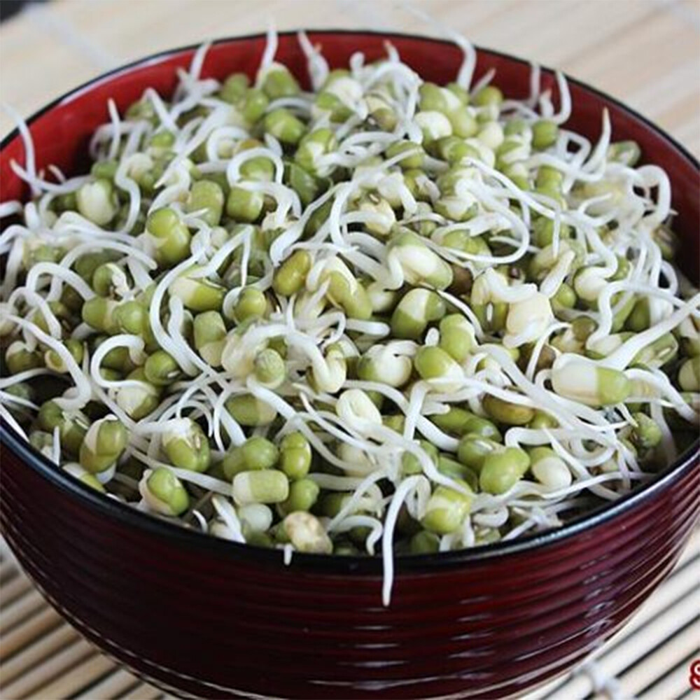 Organic Whole MUNG Beans ‘Green Gram’ ‘Moong’ Prewashed Clean non GMO