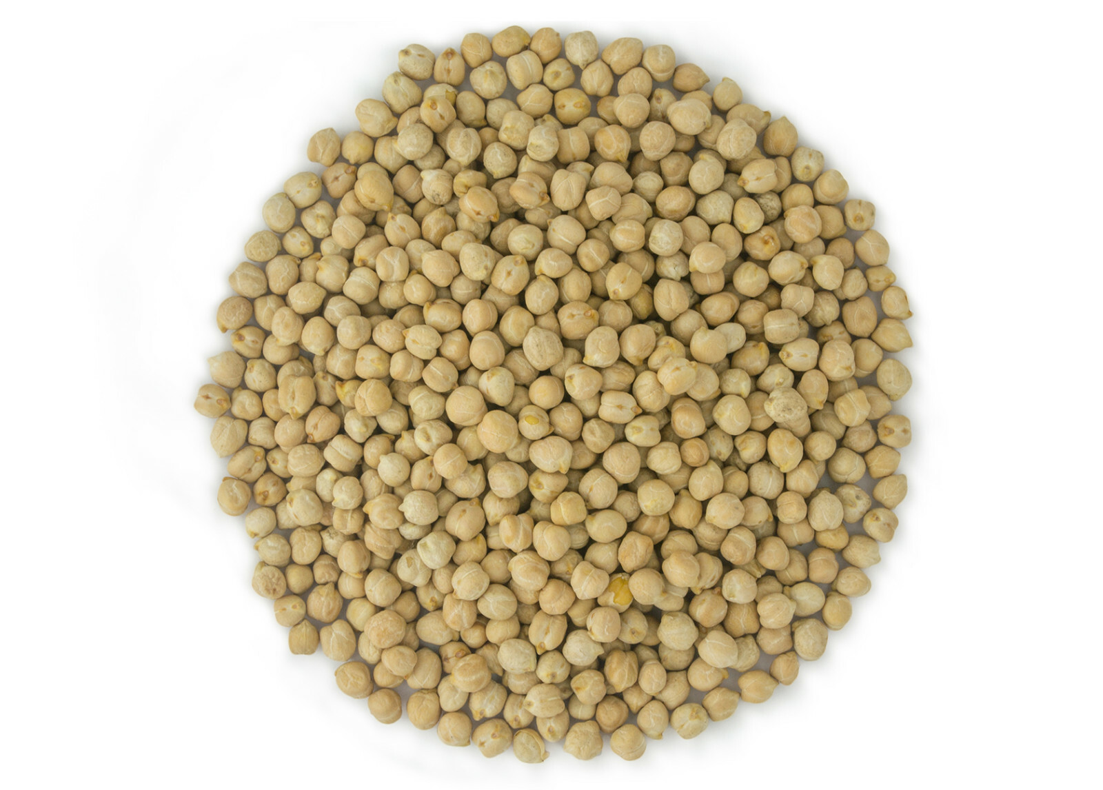 USA Grown Organic Garbanzo Beans ‘ChickPeas’ Kabuli ‘Chana’ Raw/Non-GMO/Kosher