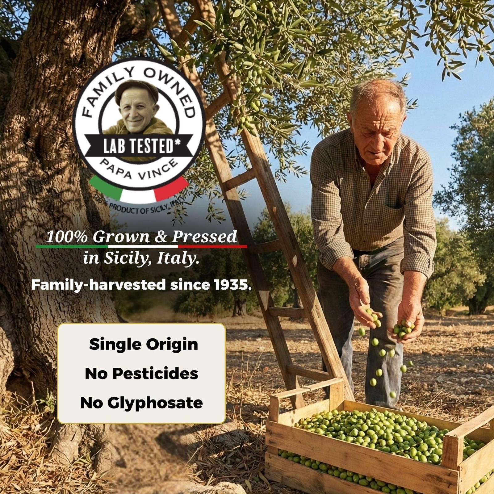 Papa Vince Hydroxytyrosol Lab-Verified Olive Oil – Drinking EVOO, Fresh Taste…