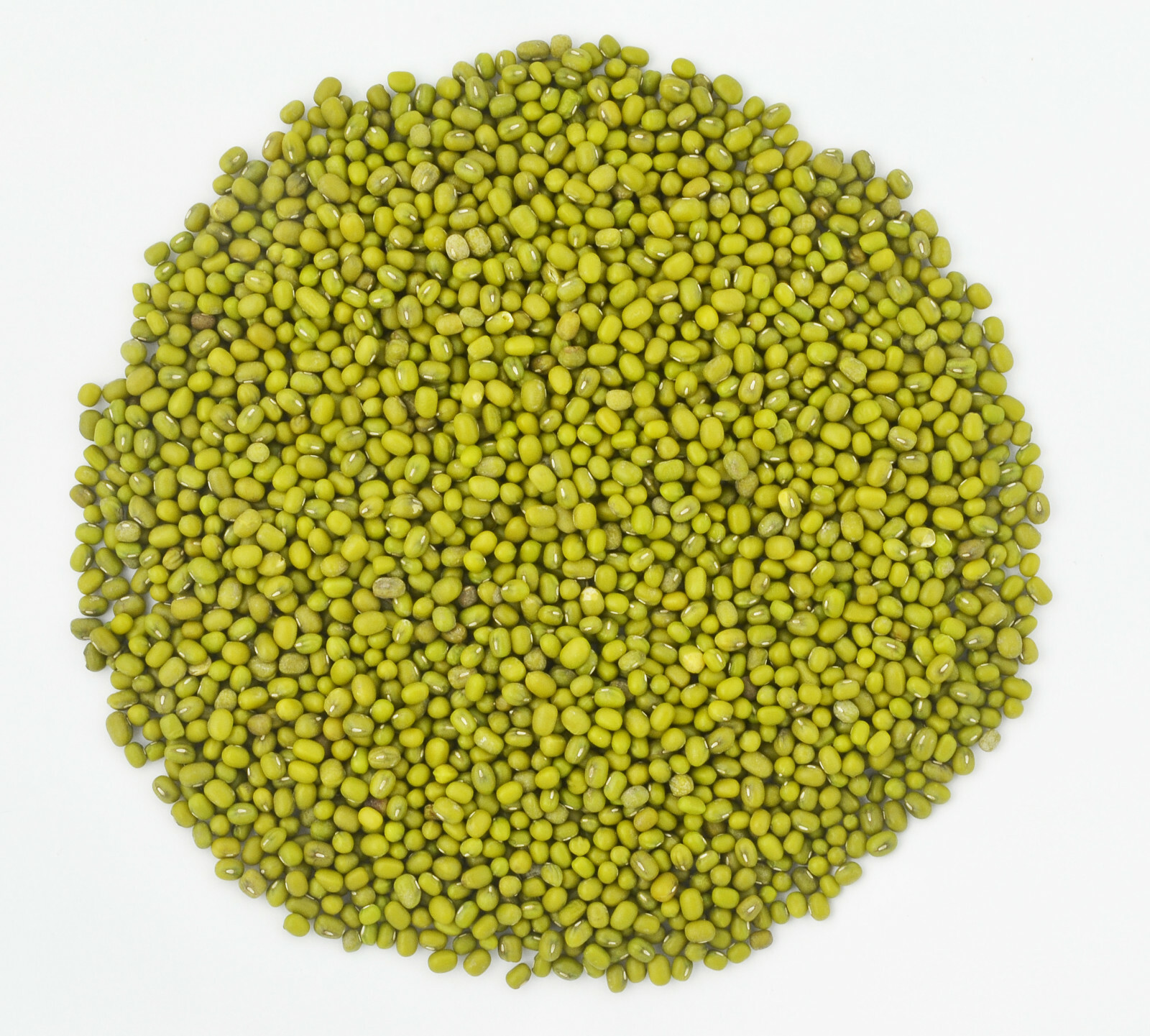 Organic Whole dried MUNG Beans ‘Green Gram’ ‘Moong’ Prewashed Clean non GMO