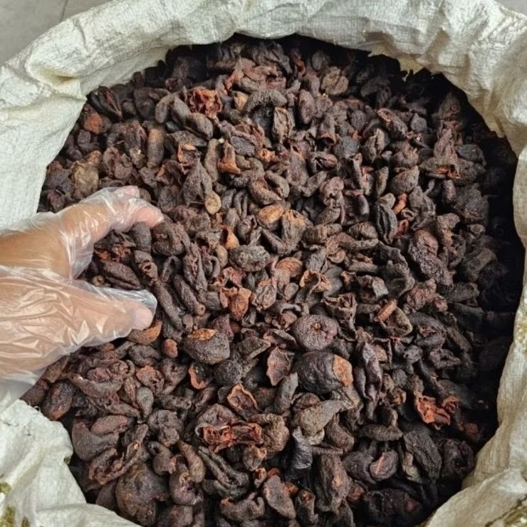Asam Kandis Slices 100g Culinary Spice For Cooking