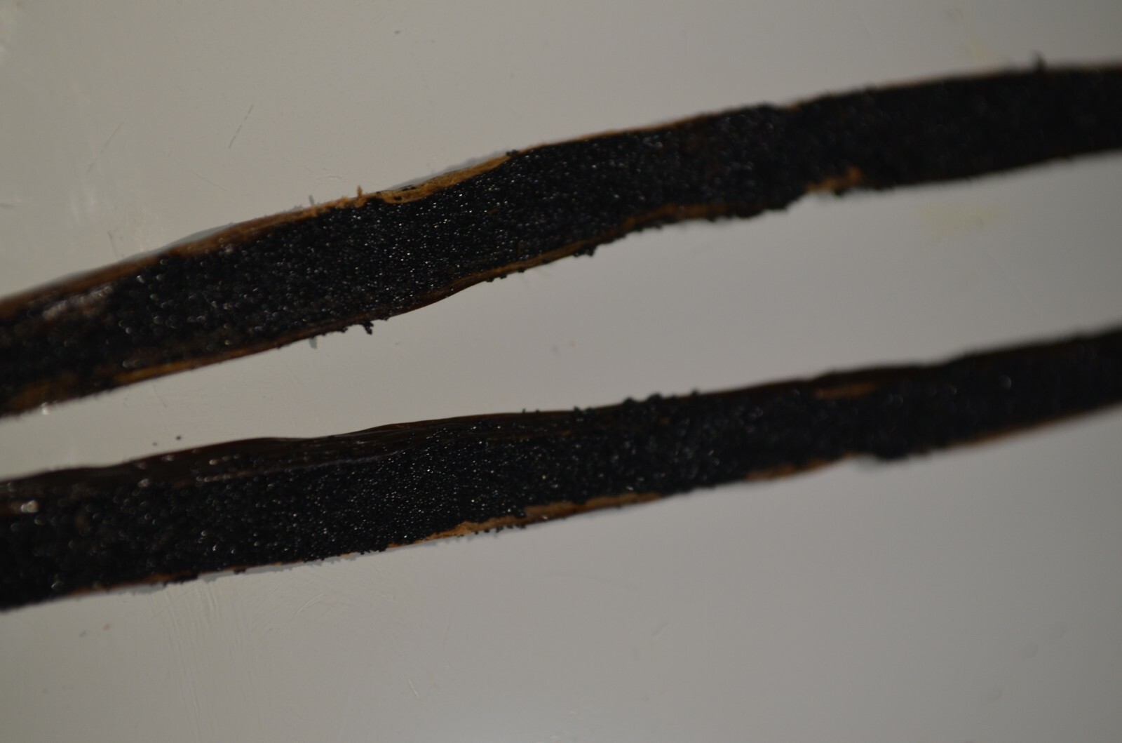50grm Bourbon Vanilla Pods Madagascar Beans Grade A 15-17 CM 2020 PREMIUM