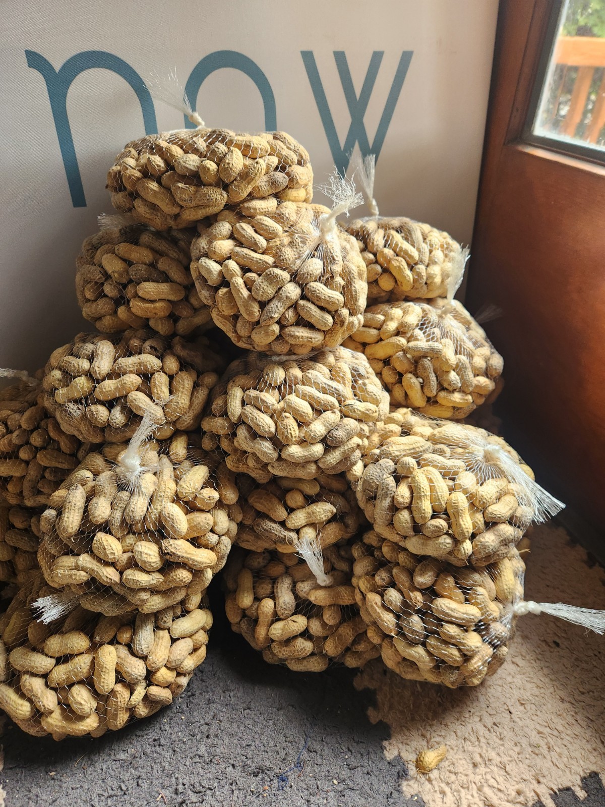 10 Lbs. Raw dried Jumbo Peanuts In The Shell, Baking, Boiling, Squirrel Feed