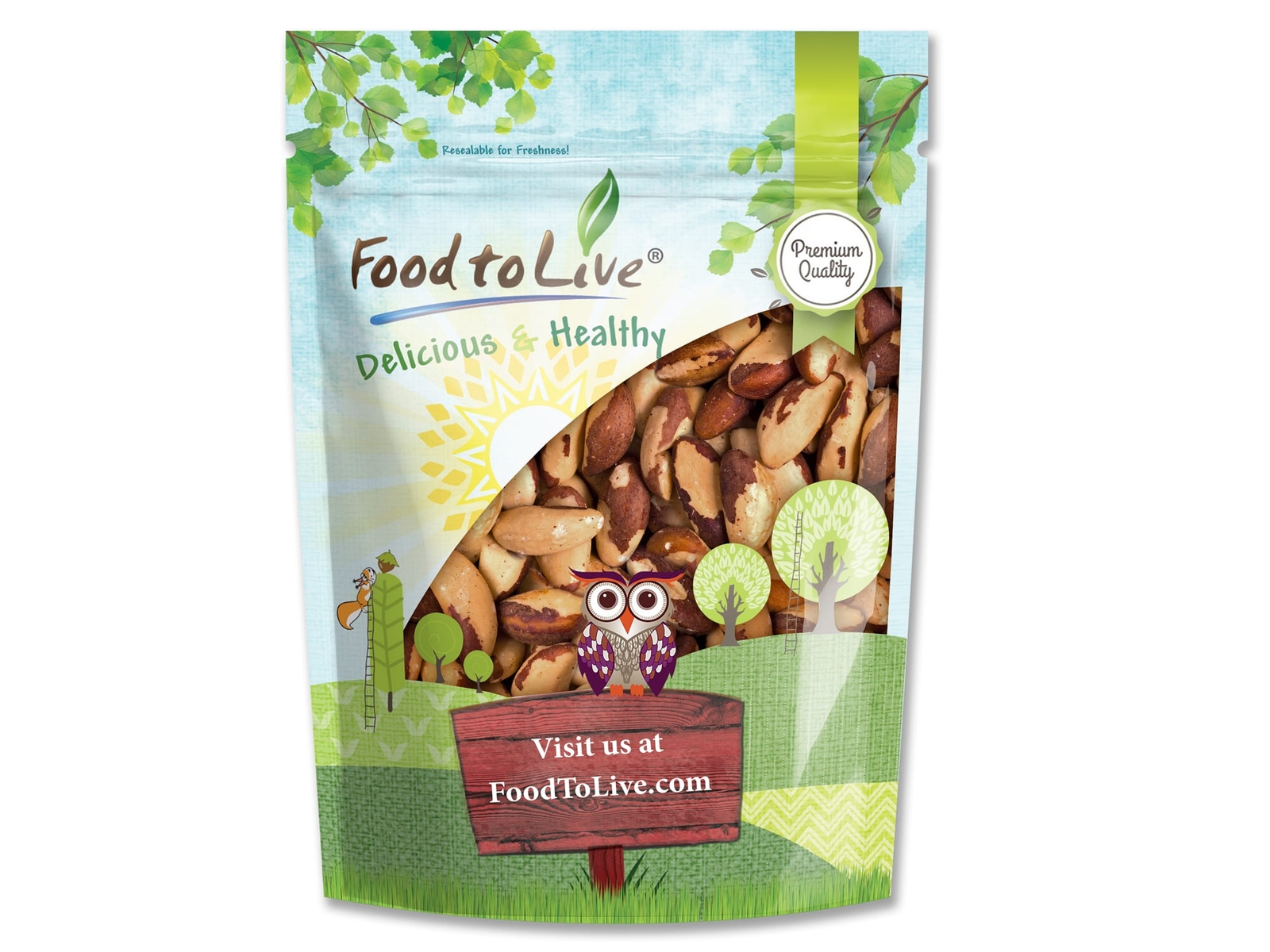 Dry Roasted Brazil Nuts – Oven Roasted Nuts, Unsalted, No Shell, Vegan, Bulk