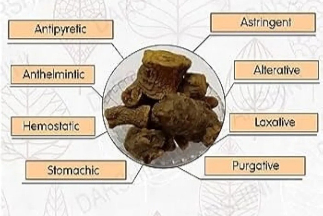 Pure Revan Chini Whole Rheum Emodi Indian Rhubarb Revand Khatai Revanchini herb