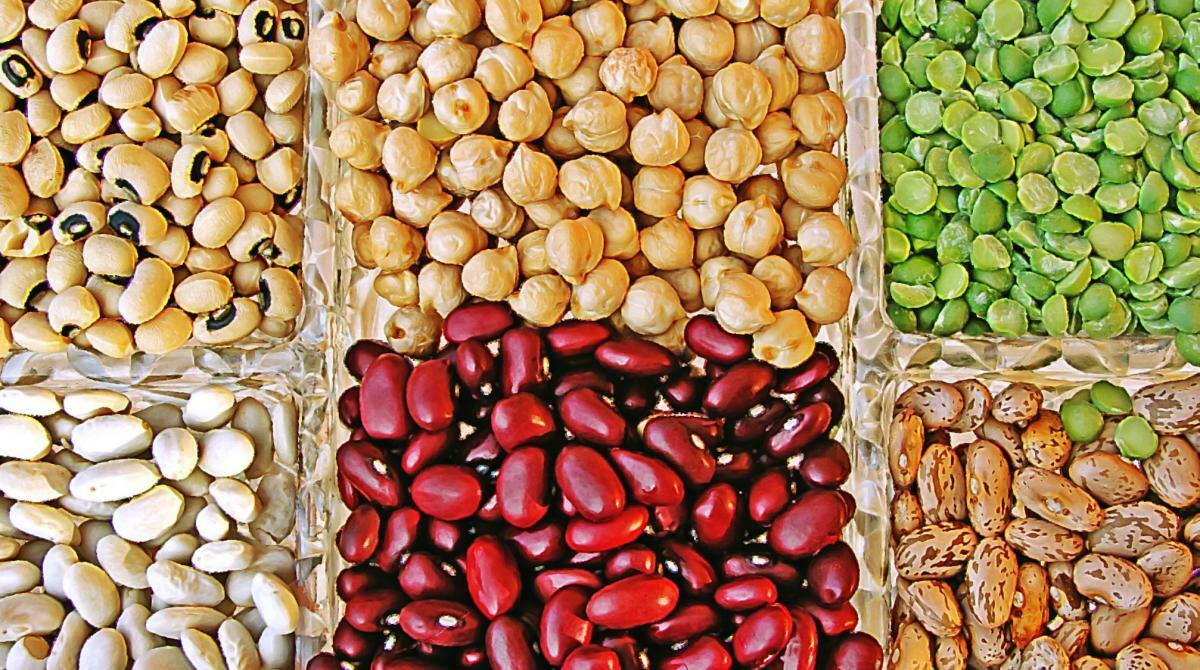 Bulk Dried Beans 5 lb. Bag (select variety from drop down)