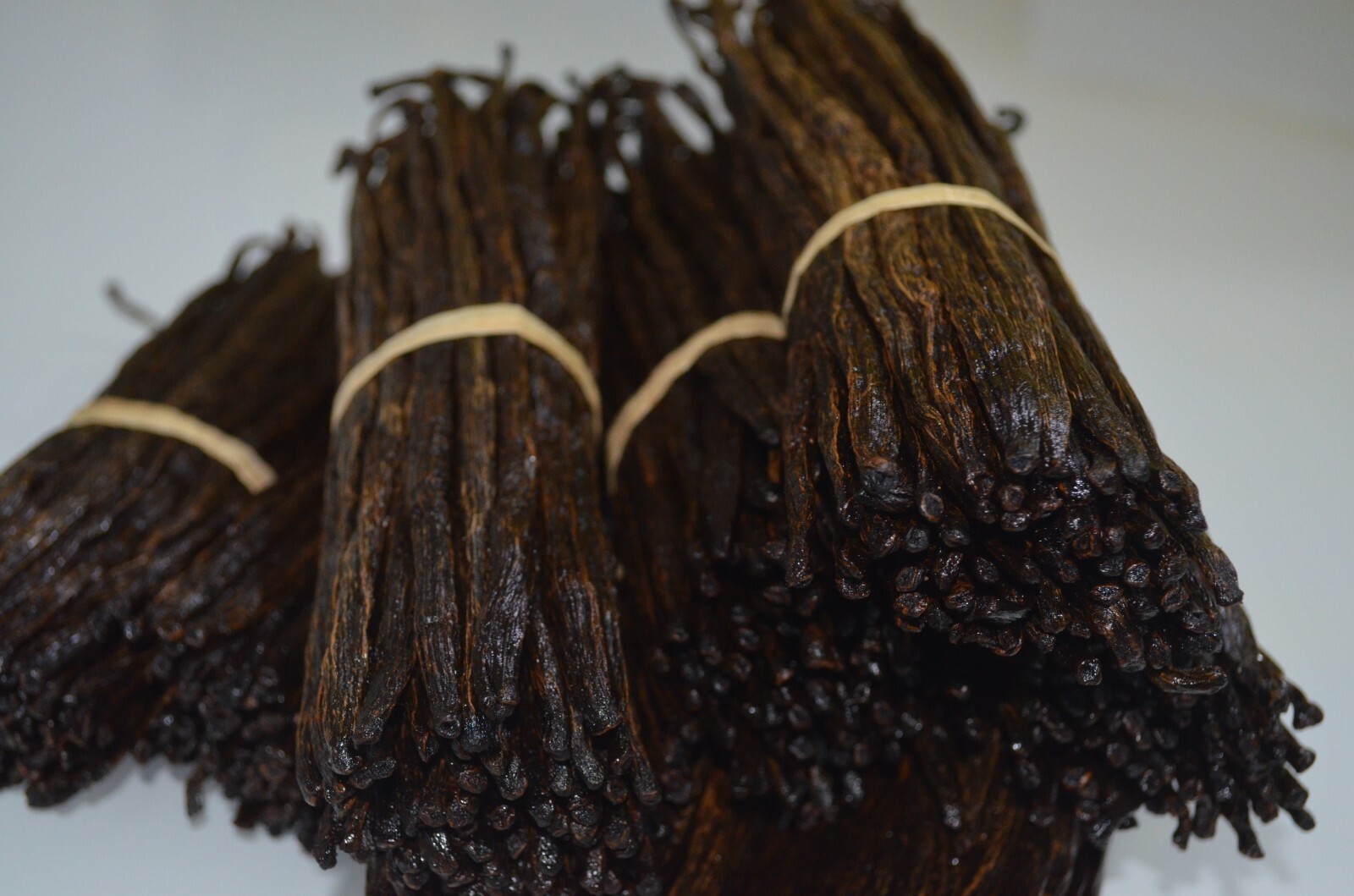 100 grm Bourbon Vanilla Pods Madagascar Beans Grade B DRY PREMIUM ORGANIC