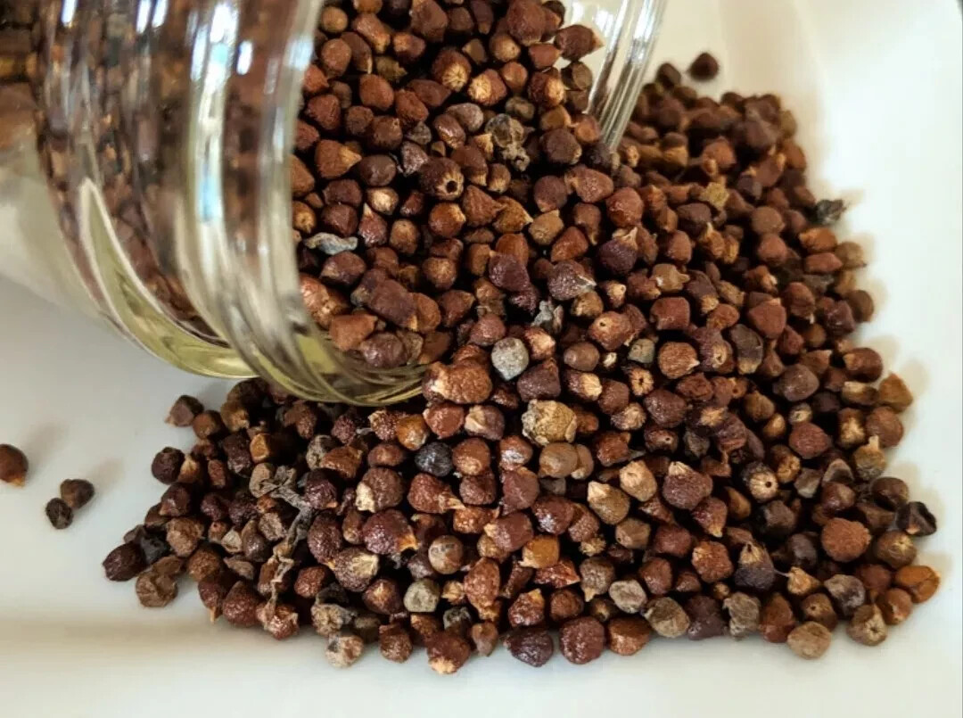 Alligator Pepper – Grain Of Paradise Seeds 2 oz