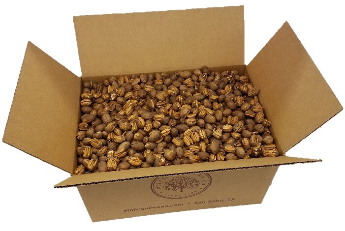 Fresh Texas -Cracked- Pecans with Shell | 20 lb or 30 lb Bulk | Millican Pecan