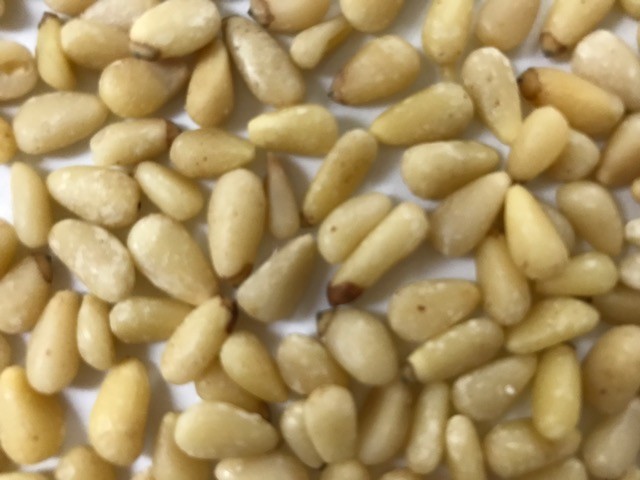 Chinese Pinenut Pignoli Fresh High Quality Resealable Bag 8oz to 13 lbs.AgroSun