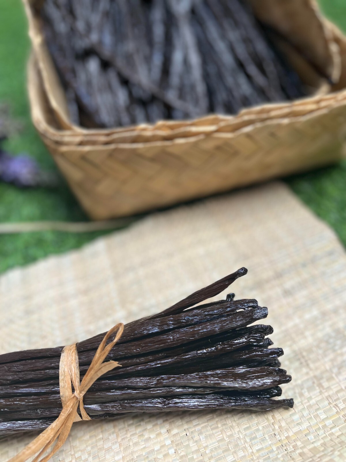 VANILLA BEANS BOURBON/PLANIFOLIA GRADE A, 16cm+ Gourmet Qty, 10 Beans, FREE SHIP