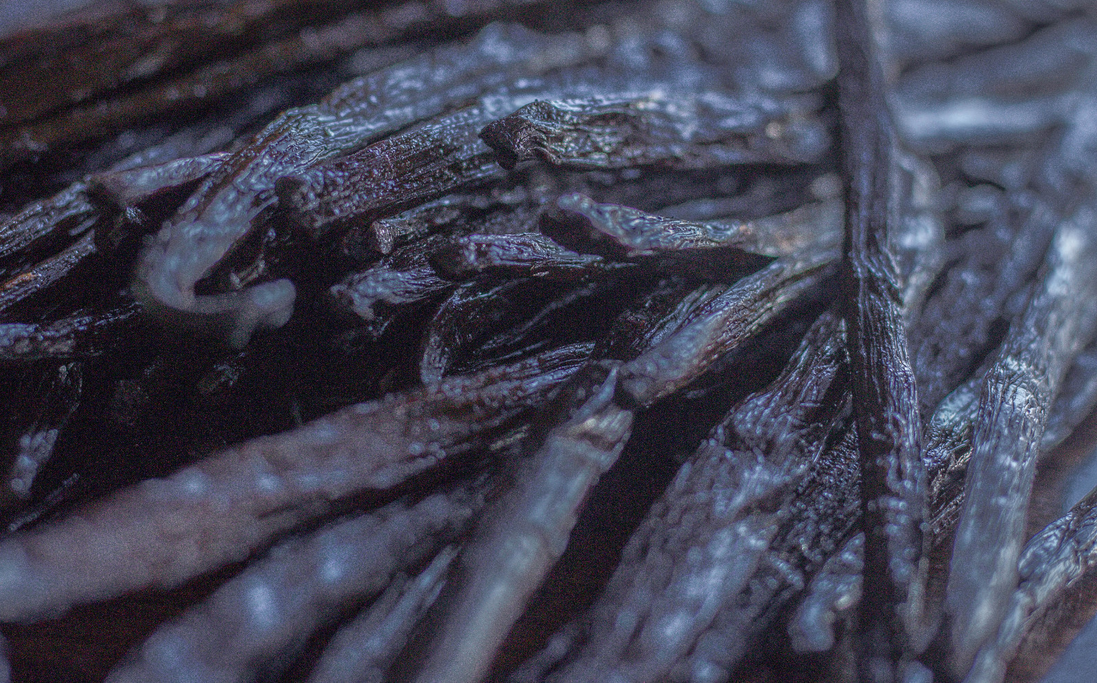 Organic Madagascar Vanilla Extract