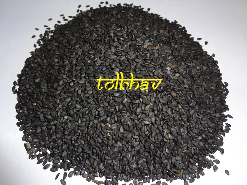 100% Pure Sesame Black / Til Natural Spice Premium Quality from India