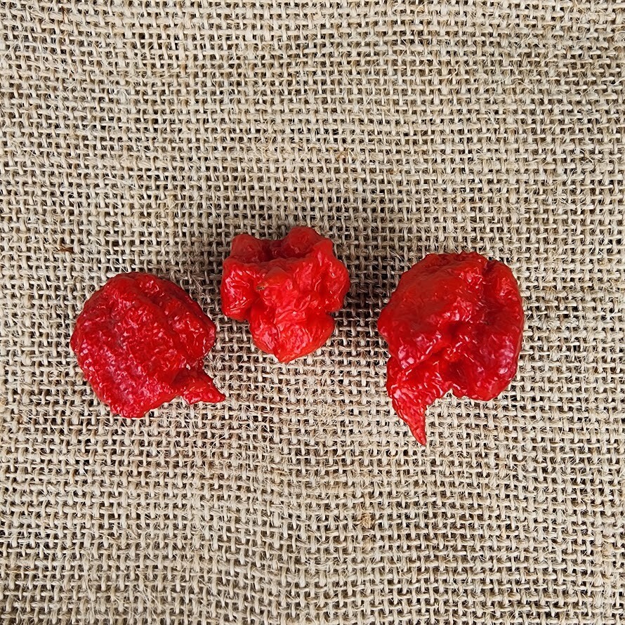 CAROLINA REAPER pods (15 pods) 1 pack for US$5.90