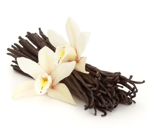 25 ORGANIC Madagascar Gourmet Vanilla Beans Grade A, Whole Beans for Baking