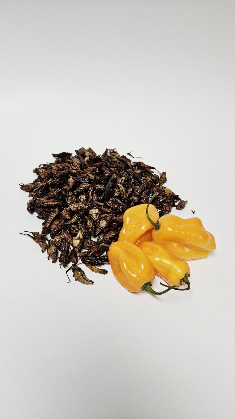 HABANERO CHAPULINES 90 GR (Extra Hot grasshoppers) from OAXACA