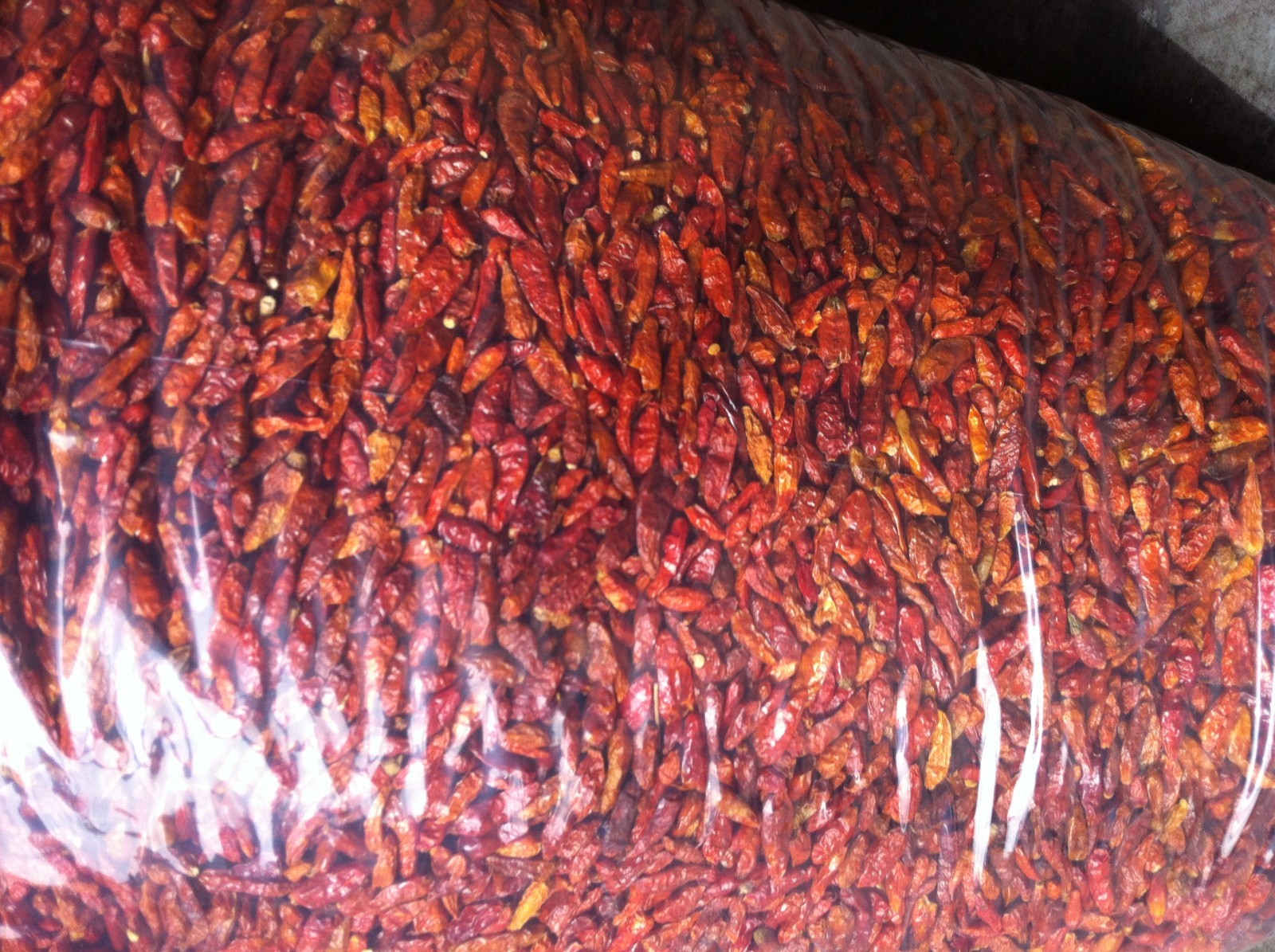 African Bird’s Eye Pepper Whole Pods | Piri Piri Chili Pepper (Size variations)