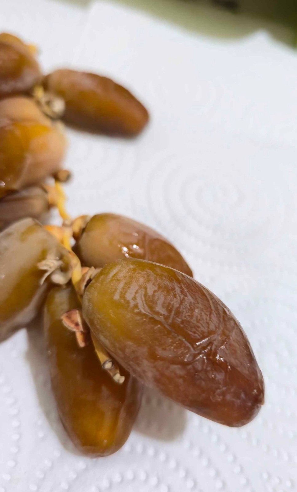 Premium Biskra Deglet Nour Dates – Fresh & Natural – Fast Shipping 500 G