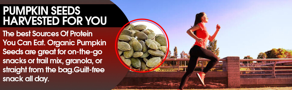 Mayan’s Secret – Raw Pumpkin Seeds Organic 2lb, Parve, Vegan, Non GMO