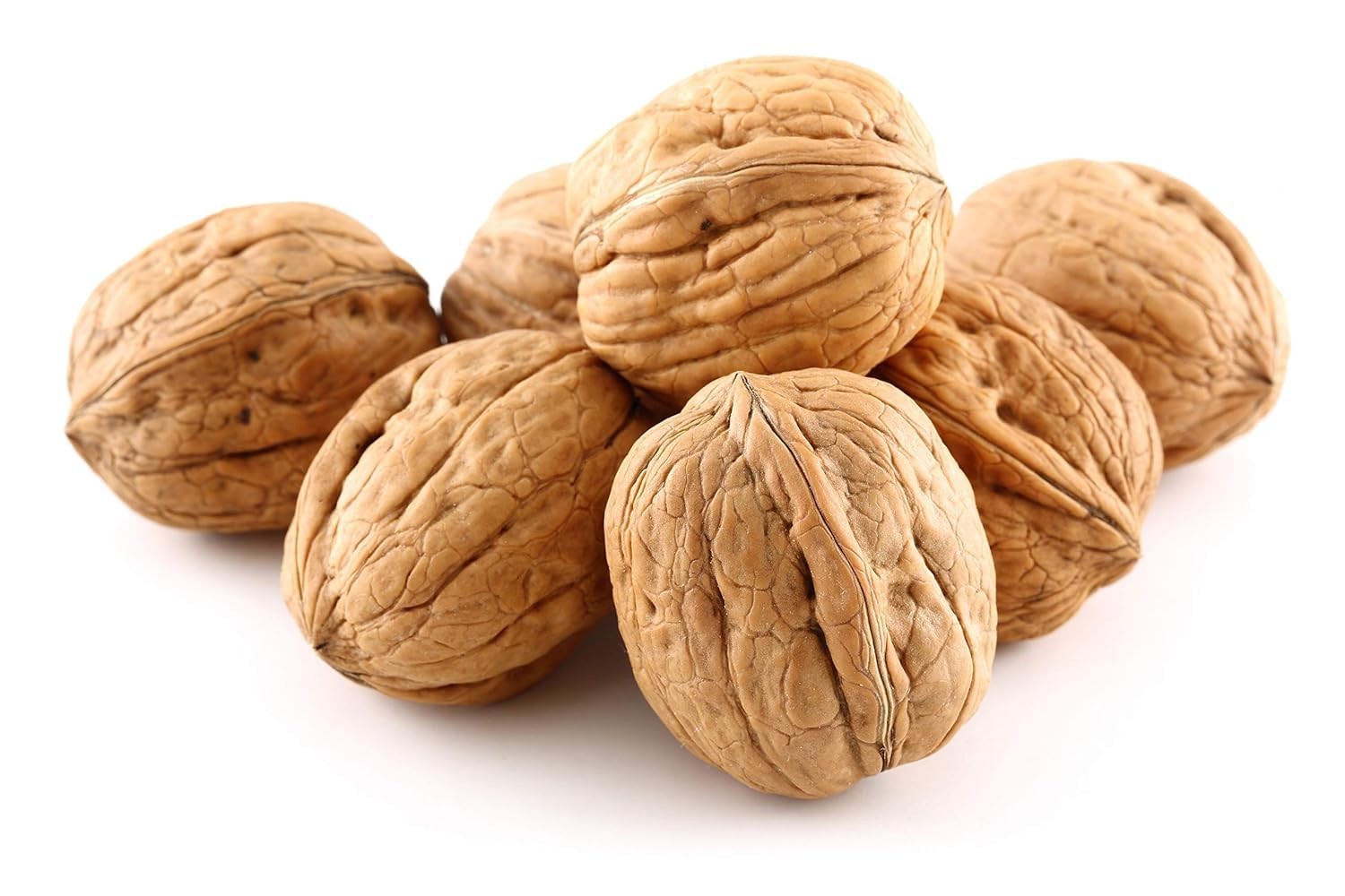 Jumbo Walnuts in Shell 3 Lb Natural Unbleached Buttery Flavor Nut Snack Baking
