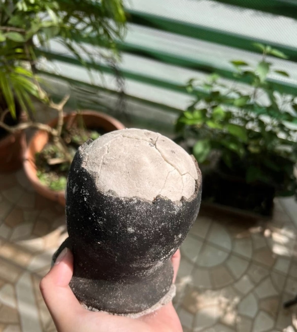 1 Unit Asin Tibuok Dino Egg Artisanal Coconut Sea Salt Bohol Philippines – DHL