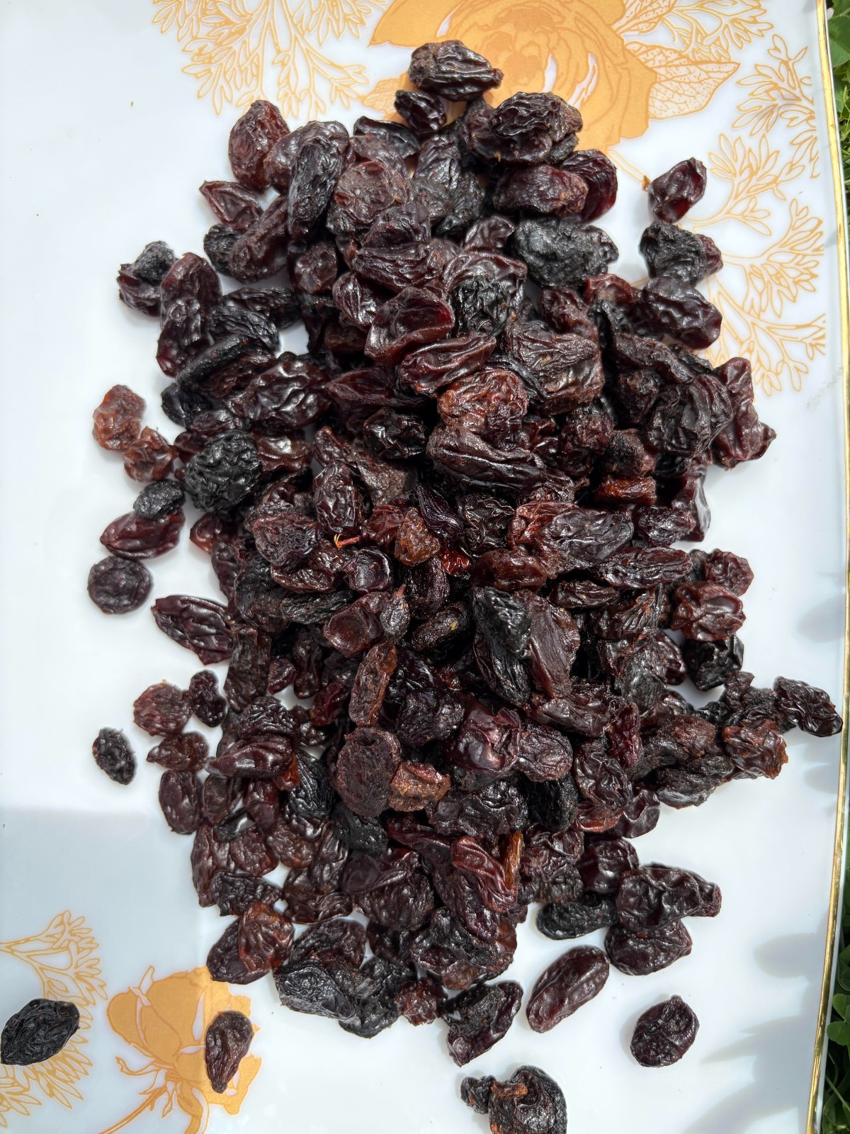 Jumbo Black Raisins Fresh Resealable Bag 11oz. to 40 lbs.by AgroSunQuality