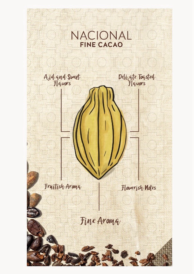 20lb Whole Raw Dried Cacao Beans. Fino De Aroma-Arriba. From Balzar, Ecuador.