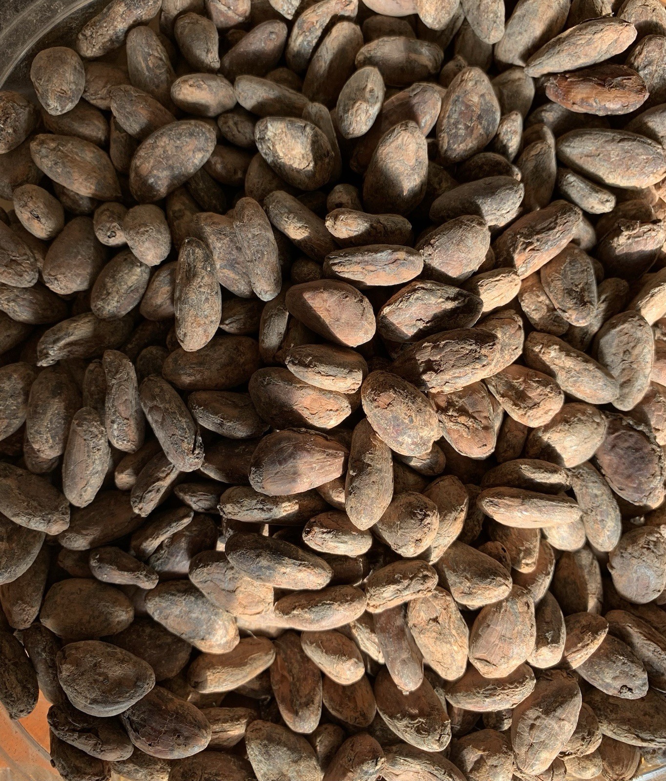 20lb Whole Raw Dried Cacao Beans. Fino De Aroma-Arriba. From Balzar, Ecuador.