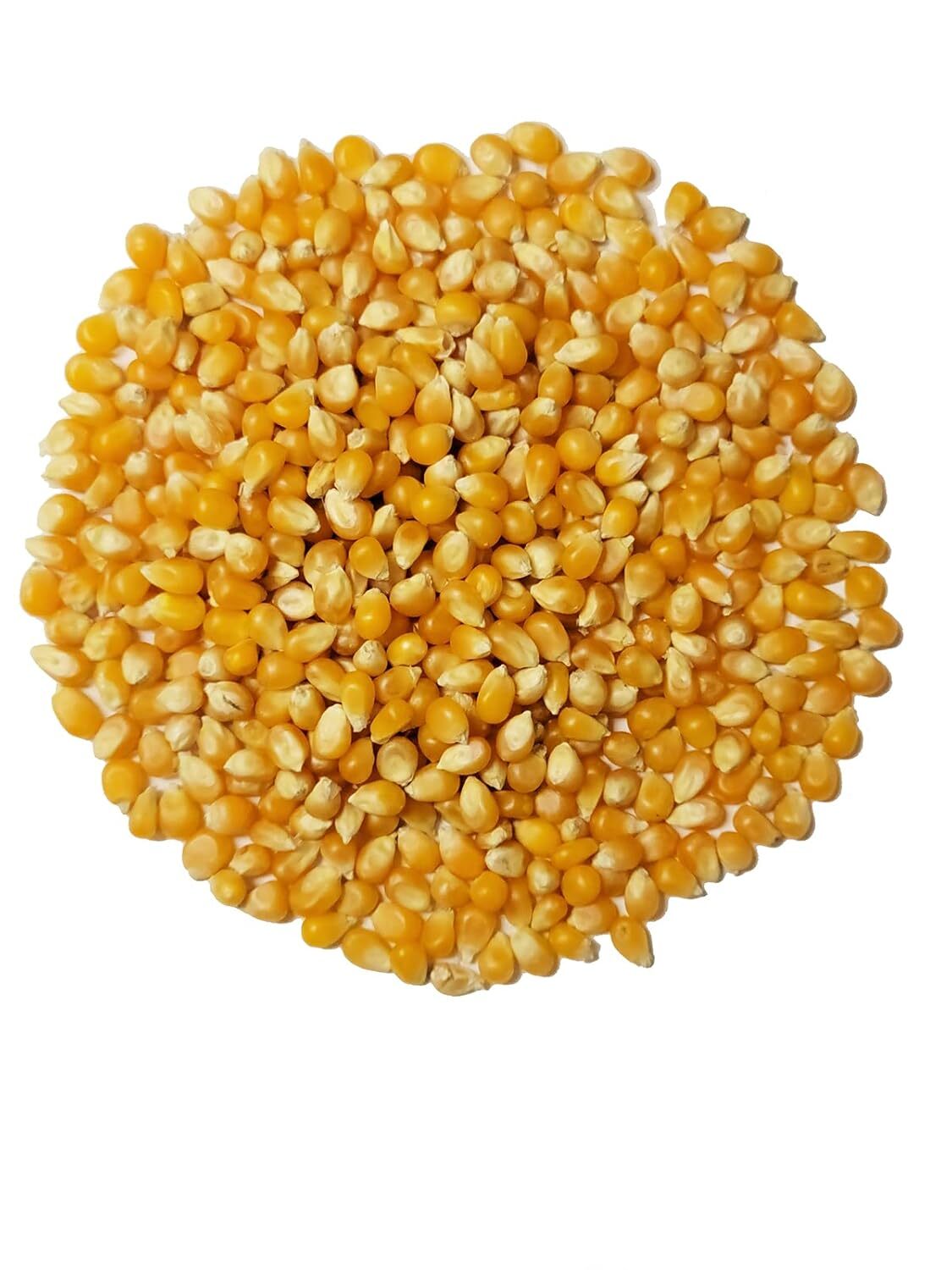 Organic Popcorn Kernels unpopped Non-GMO, Vegan Bulk Raw