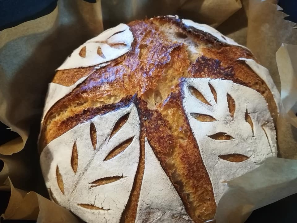 233yr Old Verified Heritage San Francisco Sourdough Starter TOP SELLER best!!