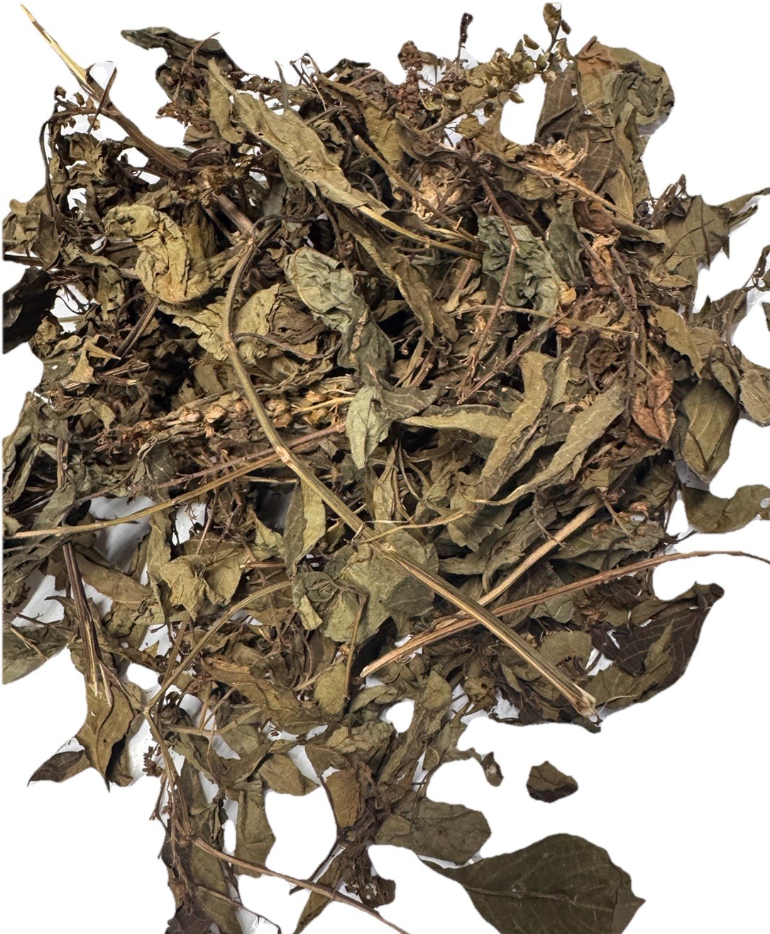 Dried Scent Leaves, African Basil, Ewe Efinrin, Ocimum Gratissimum Leaf