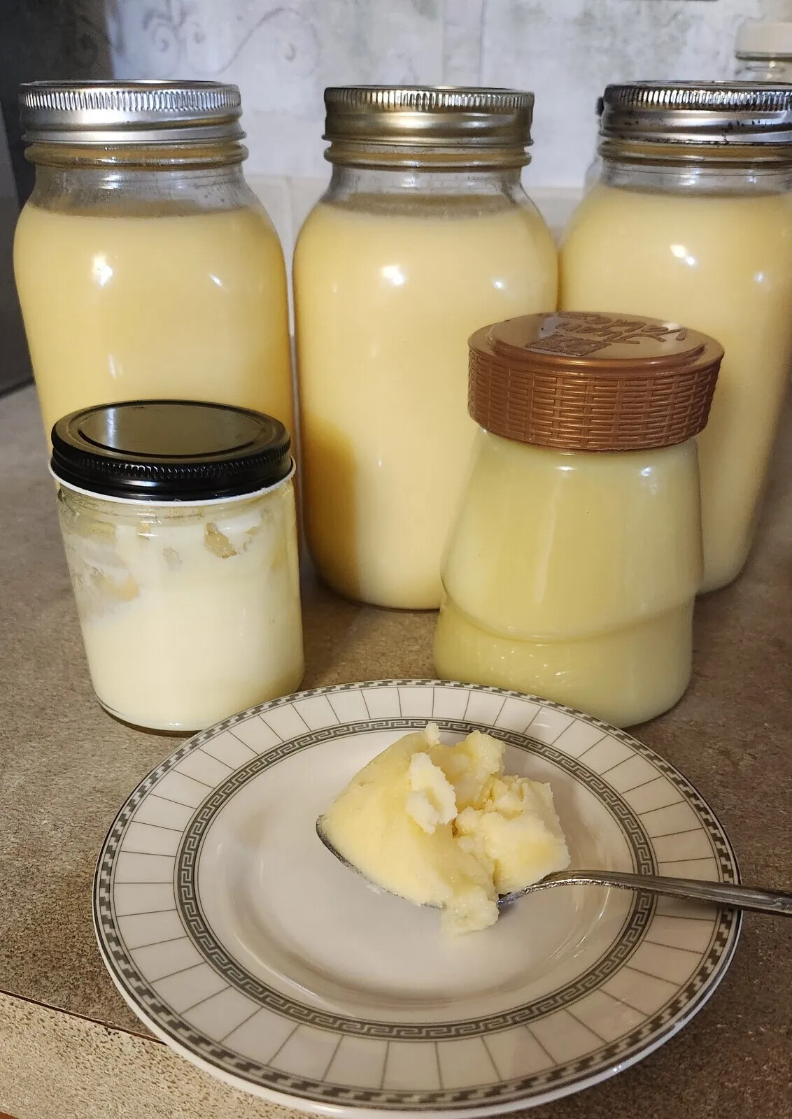 100% Organic Beef Tallow From Family Owned Small Farm