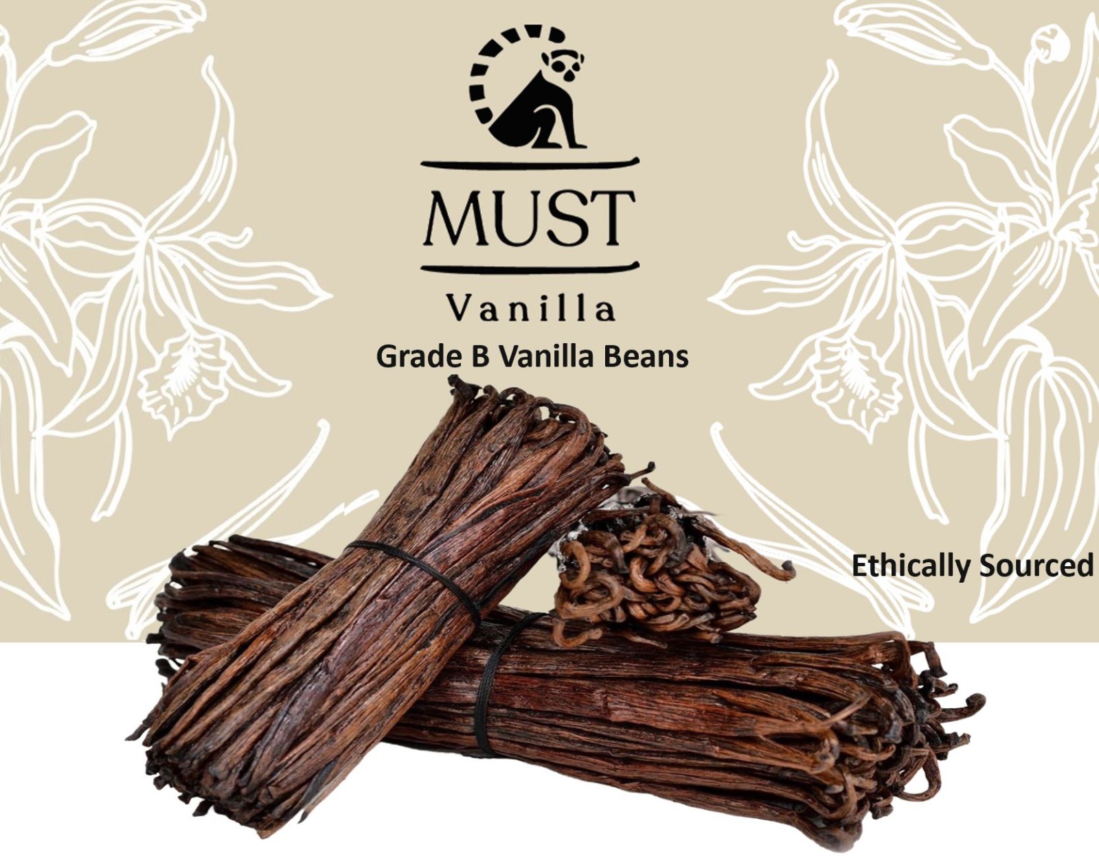 Madagascar Vanilla Beans Grade B for vanilla extract & baking- Ethically Sourced