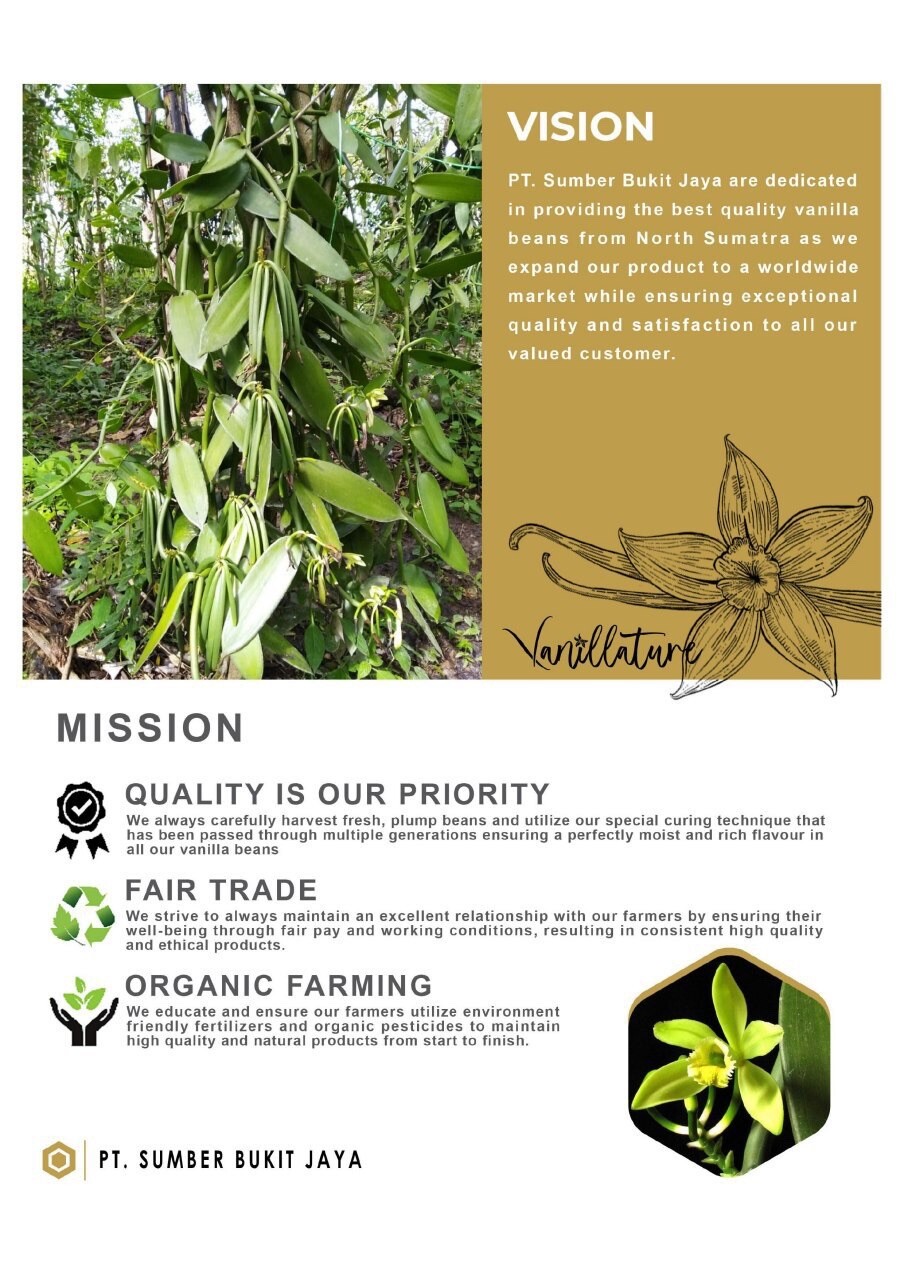 1Lb Premium Sumatra Gourmet Bourbon Vanilla Bean Pods Grade A – Vanillature