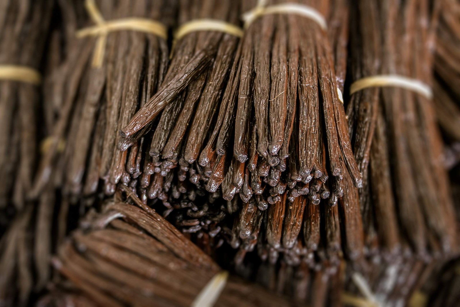 Vanilla Bean Kings 25 Organic Madagascar Whole Grade A Vanilla Pods For Vanilla