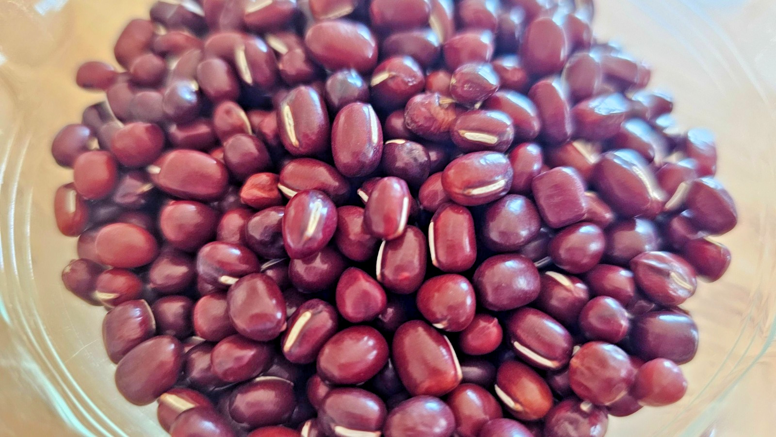 Adzuki Beans