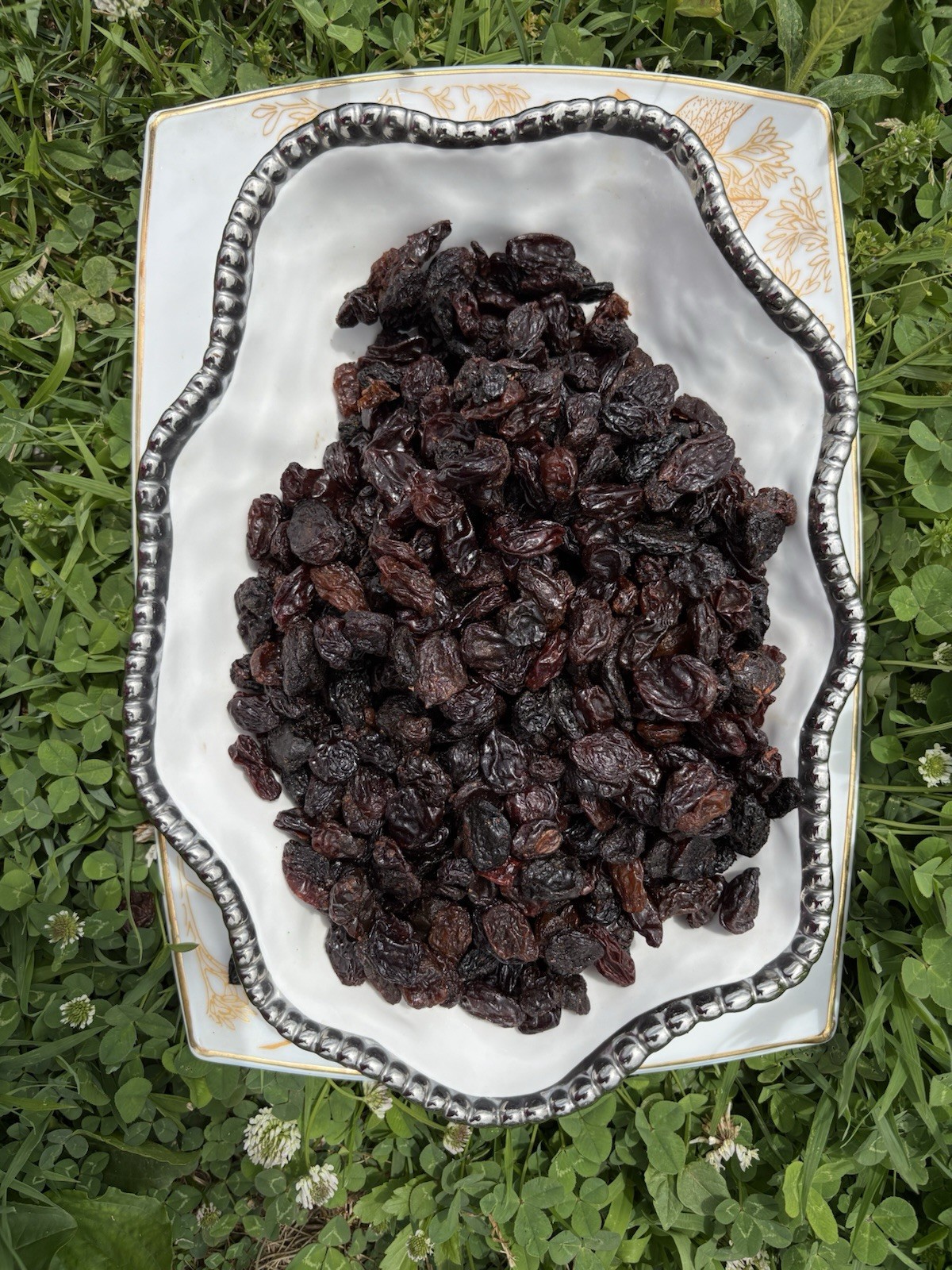 Jumbo Black Raisins Fresh Resealable Bag 11oz. to 40 lbs.by AgroSunQuality