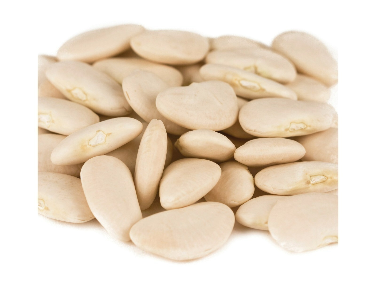 Large Lima Bean Beans 10 Pounds Free Shipping