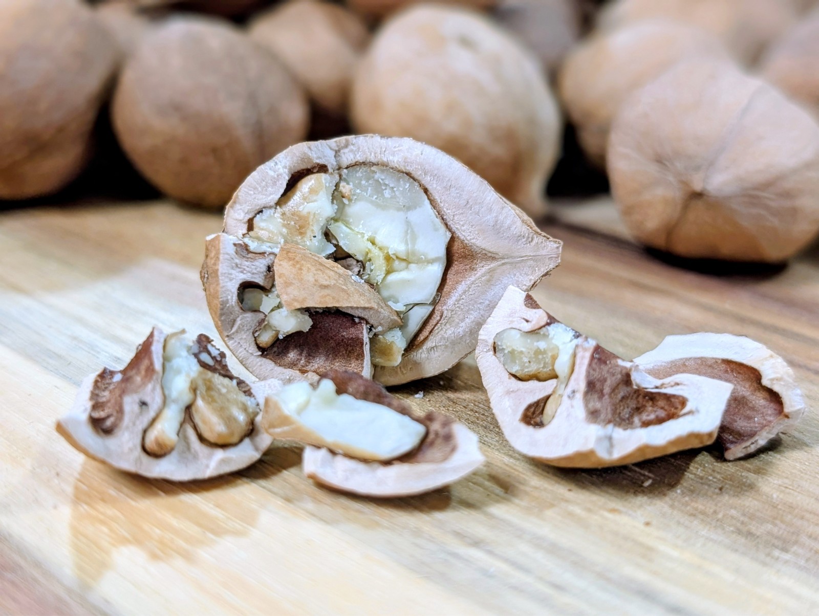2025 Harvest – 225 Count (~5 Lbs) – Natural Mockernut Hickory Nuts – SE TN