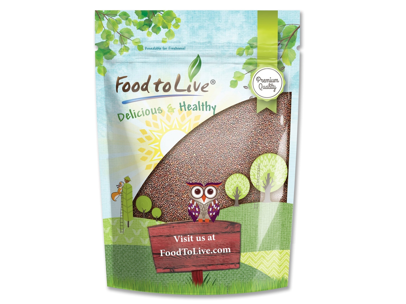 Broccoli Seeds for Sprouting — Kosher, Raw, Vegan — by Food to Live