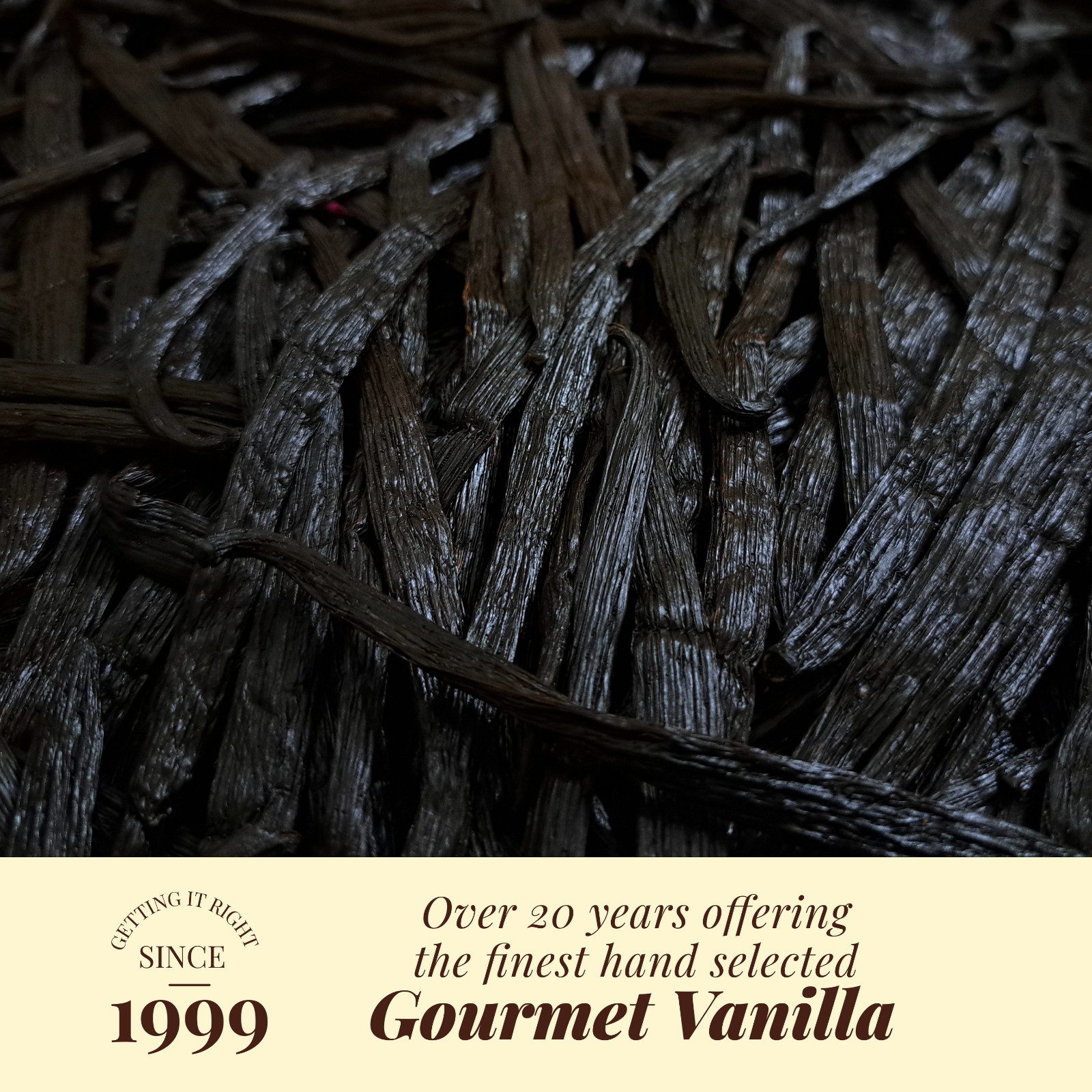 10 Pure Vanilla Beans Grade A For Vanilla Extract, Whole Vanilla Pods For Baking