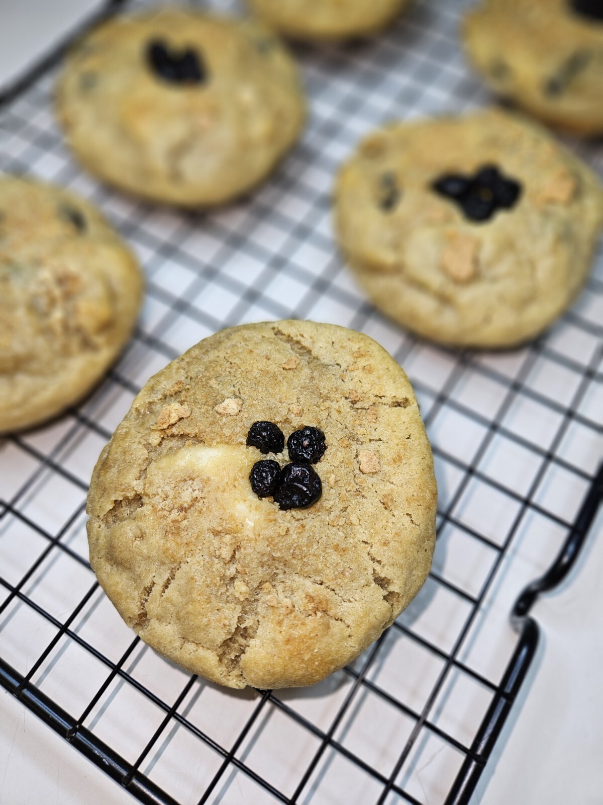 Handmade Fresh Baked Blueberry Cheesecake Cookies, Giant Cookies, Soft Baked
